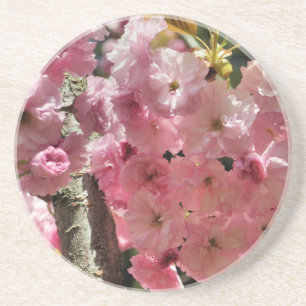 Pink Spring Blossoms Floral Coaster