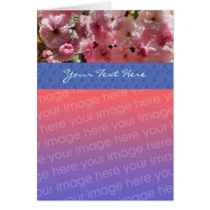 Pink Spring Blossoms Floral Photo Card