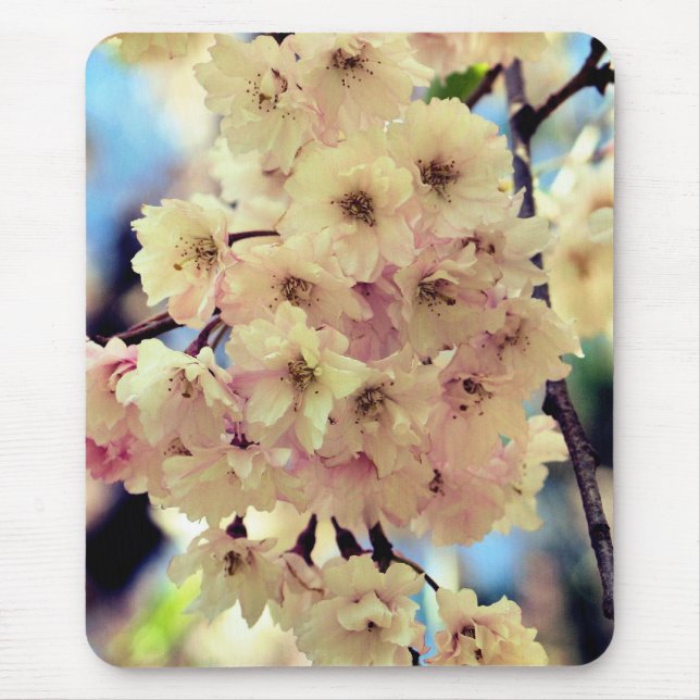 Pink Spring Blossoms Flower  Mouse Mat (Front)