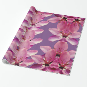 Pink spring Blossoms Gift Paper