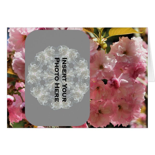 Pink Spring Blossoms Photo Card (Front Horizontal)