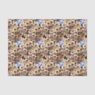 Pink Spring Flower Blossoms Nature Art Pattern    Tissue Paper