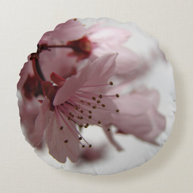 Pink Spring Flowers Round Photo Art Pillow (Front)