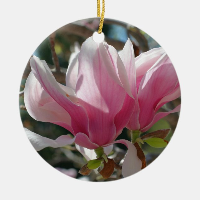 Pink Spring Magnolia Blossoms Flower Ornament (Front)