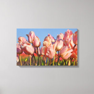 Pink spring tulips canvas print