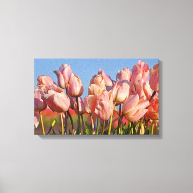Pink spring tulips canvas print (Front)