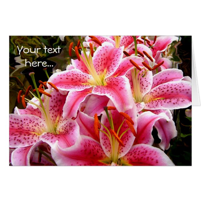 Pink Stargazer Lilies (Front Horizontal)
