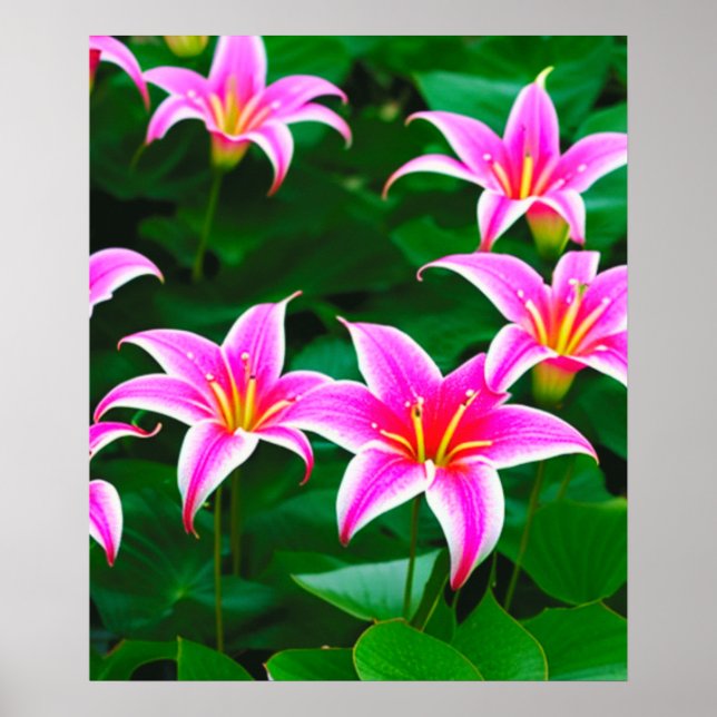 Pink Stargazer Lilies AI Art Poster (Front)