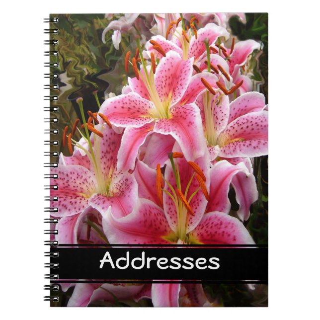 Pink Stargazer Lilies Notebook (Front)