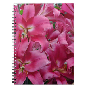 Pink stargazer lilies notebook
