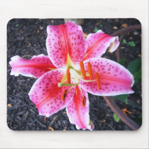 Pink Stargazer  Lily Mouse Mat