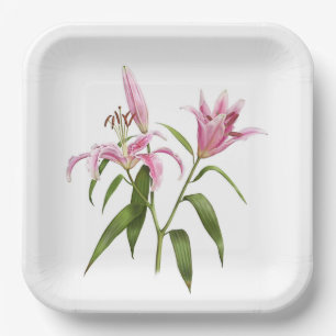 Pink Stargazer Oriental Lily Botanical Art  Paper Plate