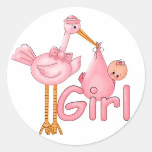 Pink Stork Baby Girl Classic Round Sticker