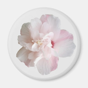 Pink Strawberry Smoothie Althea Magnet