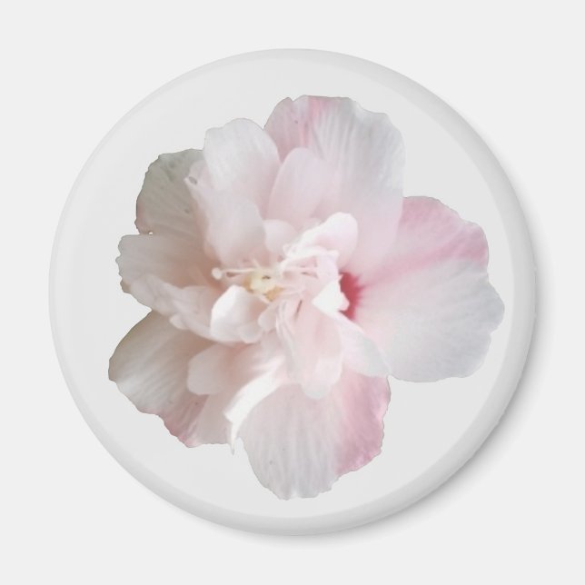 Pink Strawberry Smoothie Althea Magnet (Front)
