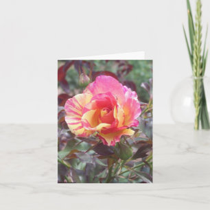 Pink Striped Rose Photo Folded Note Card