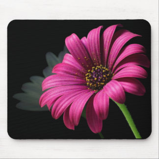 PINK STUDIO DAISY MOUSE MAT