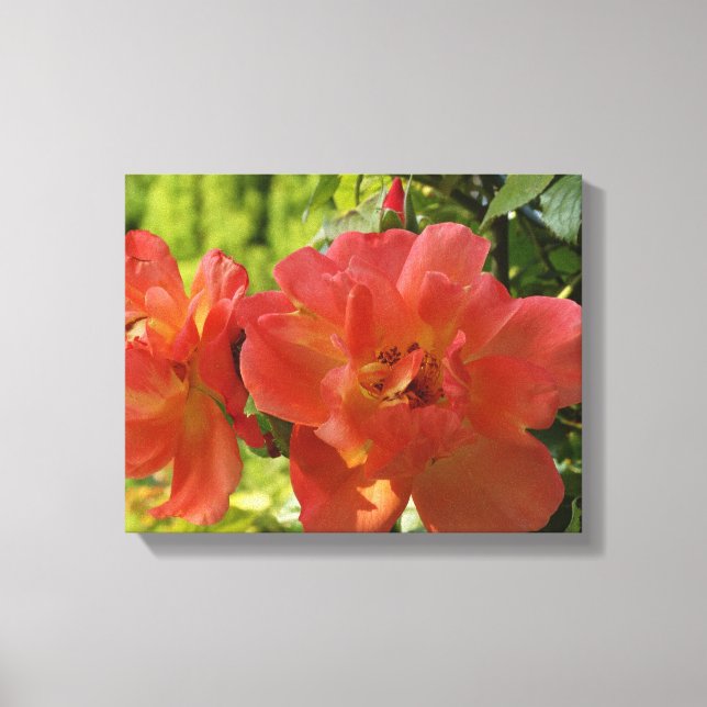 Pink Summer Roses Flower Photo Single Print (Front)