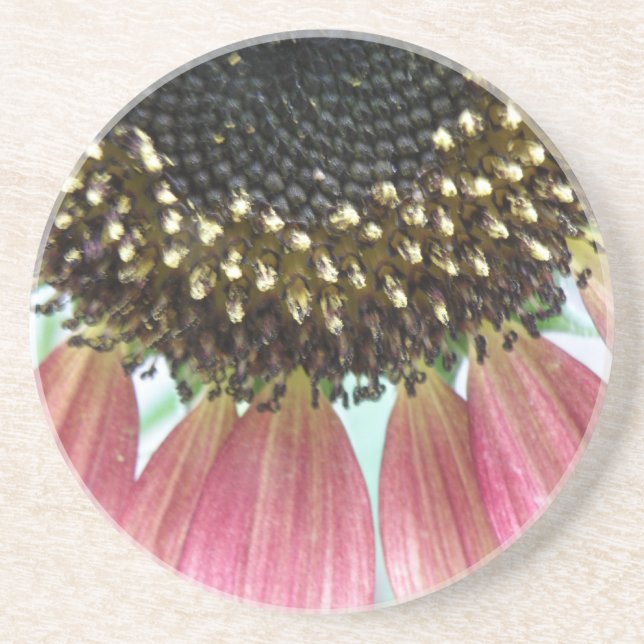 Pink Sunflower Coasters (Front)