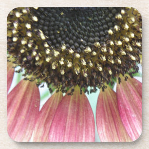 Pink Sunflower Cork Coaster