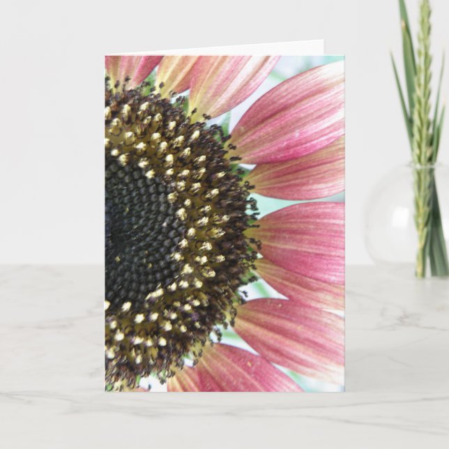 Pink Sunflower Greeting Card (Front)