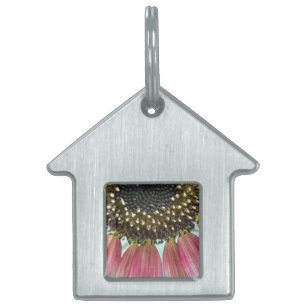 Pink Sunflower Pet Tag