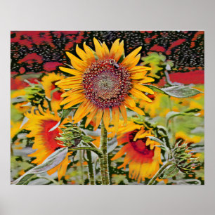 Pink Sunflower Poster