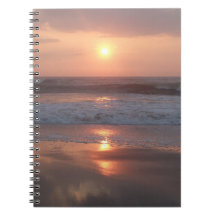 Pink sunset book on the beach