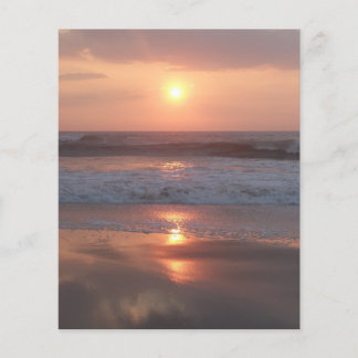 Pink Sunset on the Beach Flyer