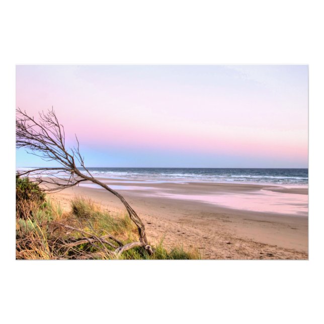Pink Sunset Photo Print (Front)