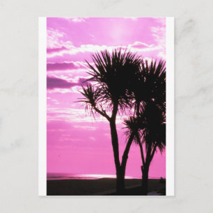 pink sunset postcard