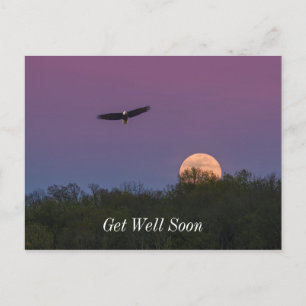 Pink Supermoon Eagle Get Well Soon Postcard