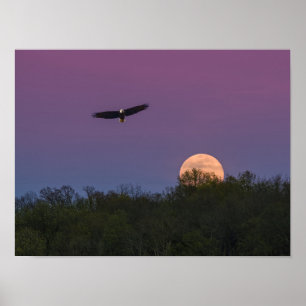 Pink Supermoon Eagle Poster