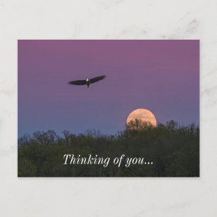 Pink Supermoon Eagle Thinking Of You Postcard