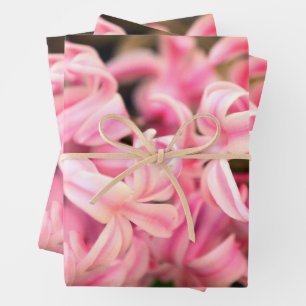 Pink Sweet Smelling Fragrant Hyacinth Wrapping Paper Sheet