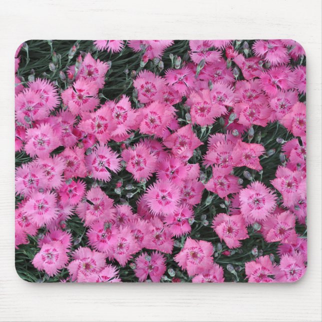 Pink sweet william flowers mouse mat (Front)