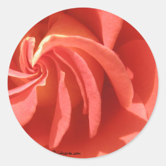 Pink Swirl Rose Envelope Seal Sticker