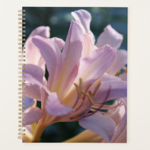 Pink Tall Lilies Magic Lily Planner