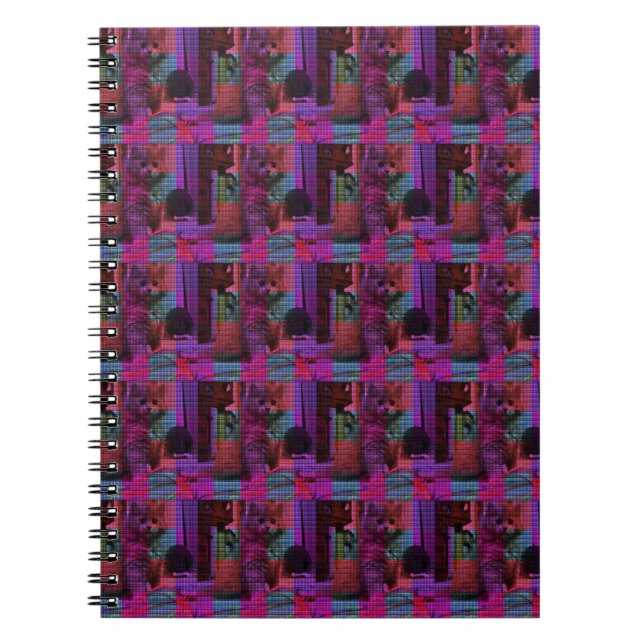 Pink Tartan Persian Kitten, Notebook (Front)
