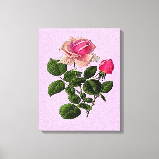 Pink Tea Roses Canvas Print (Front)
