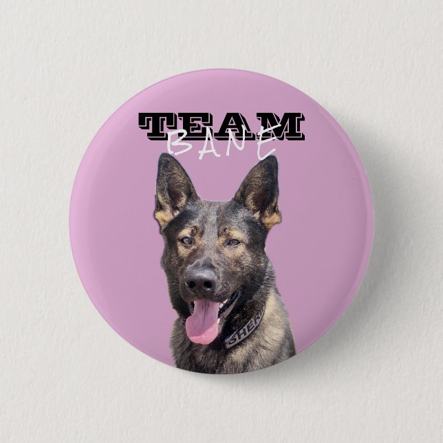 Pink Team Bane Button (Front)