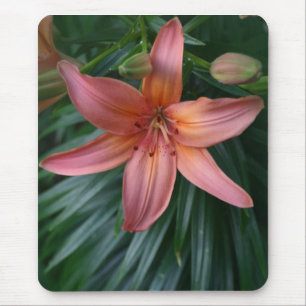 Pink Tiger Lily Flower photograph mousepads