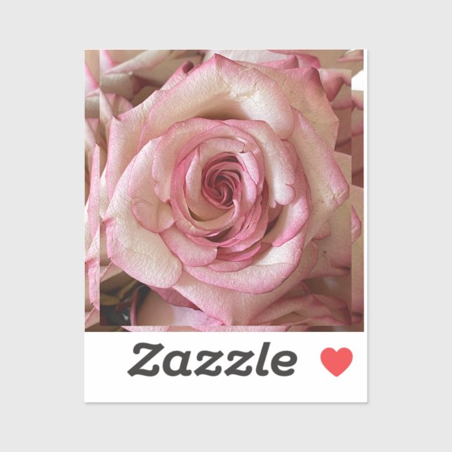 Pink Tipped White Rose Custom Vinyl Sticker (Sheet)