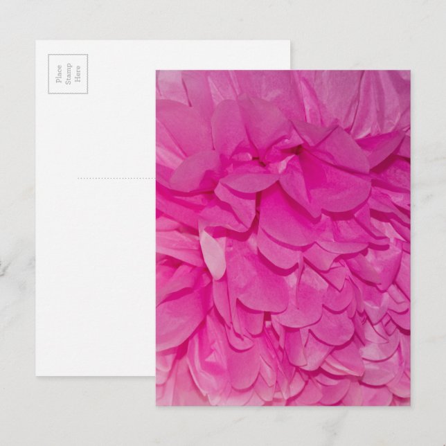 Pink Tissue Paper Flower Realistic Texture Photo Postcard (Front/Back)