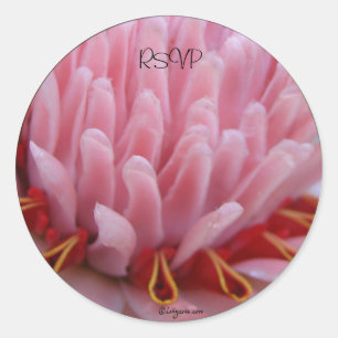 Pink Torch Ginger Wedding Envelope Seals/ Stickers