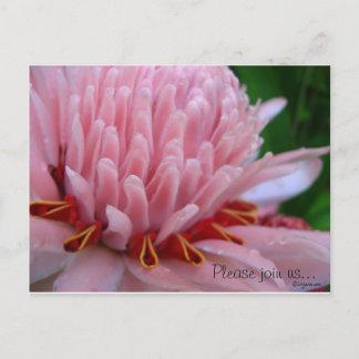 Pink Torch Ginger Wedding Save the Date Cards