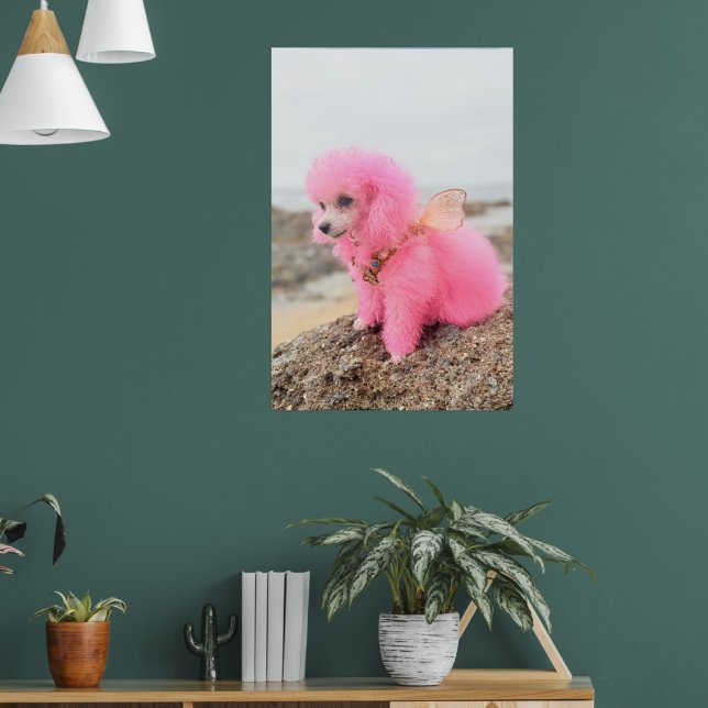PINK TOY POODLE AT THE BEACH POSTER (Living Room 1)
