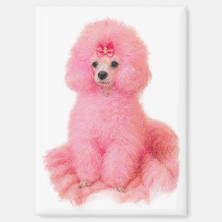 pink toy poodle magnet, pink poodle, refrigerator magnet