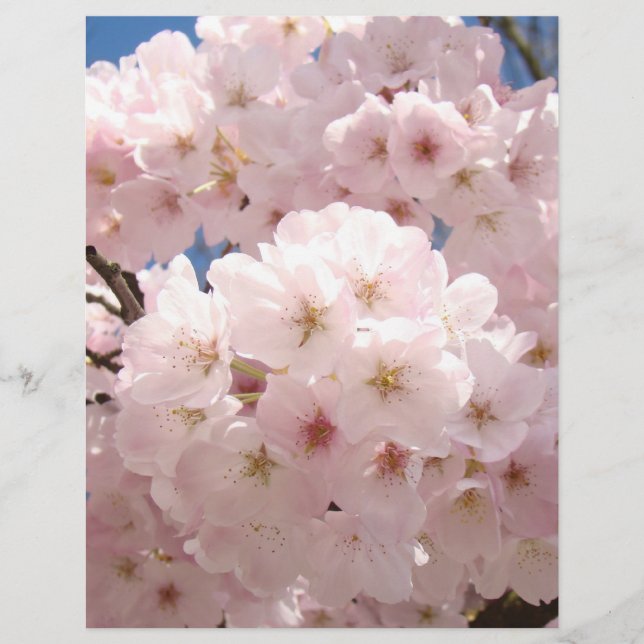 Pink Tree Blossoms Flowers Scrapbooking paper (Front)