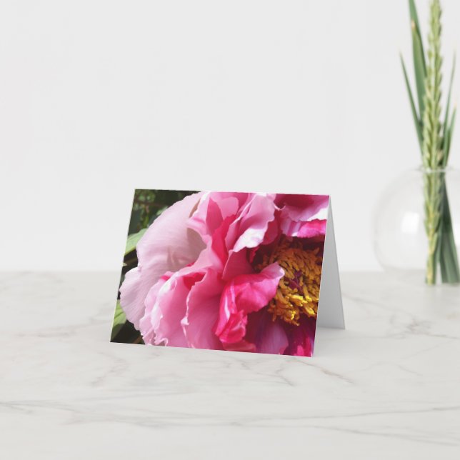 Pink Tree Peony Notecard (Front)